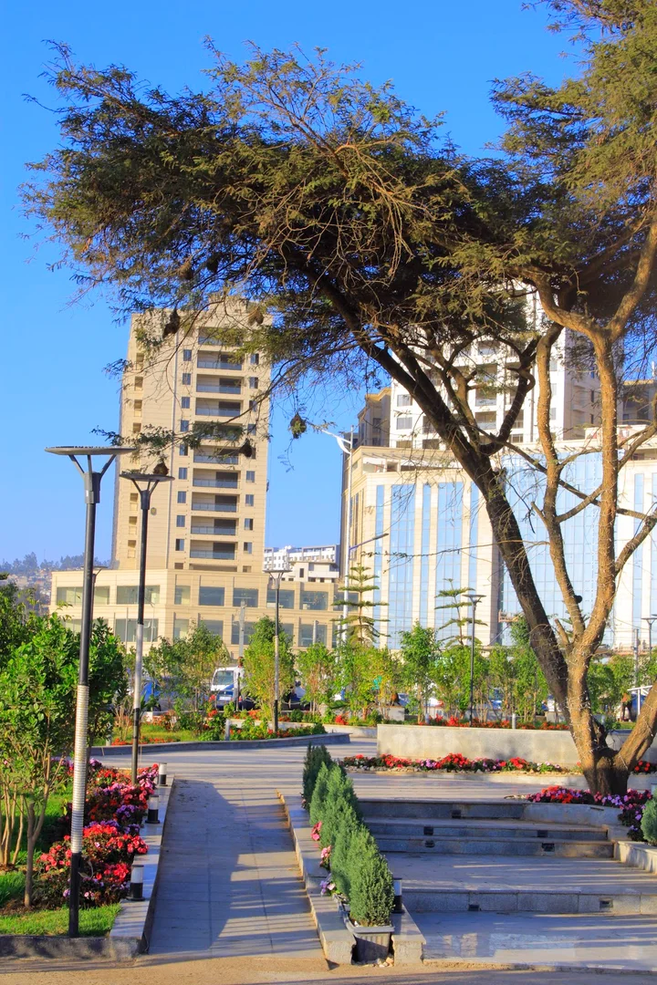 CMC Compound in Addis Ababa - Ask AI | mindtrip