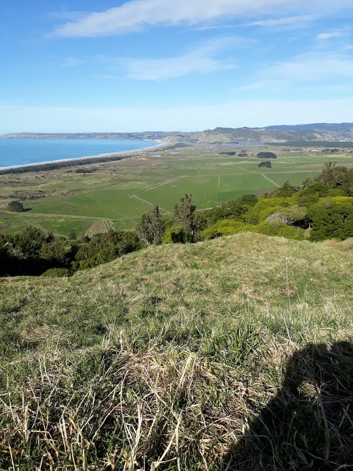 Mahanga Beach in Mahia Beach, Hawke's Bay | Ask Anything
