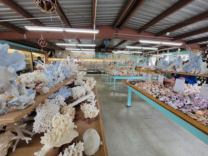 The Shell Shop, Inc. in Morro Bay - Ask AI | mindtrip