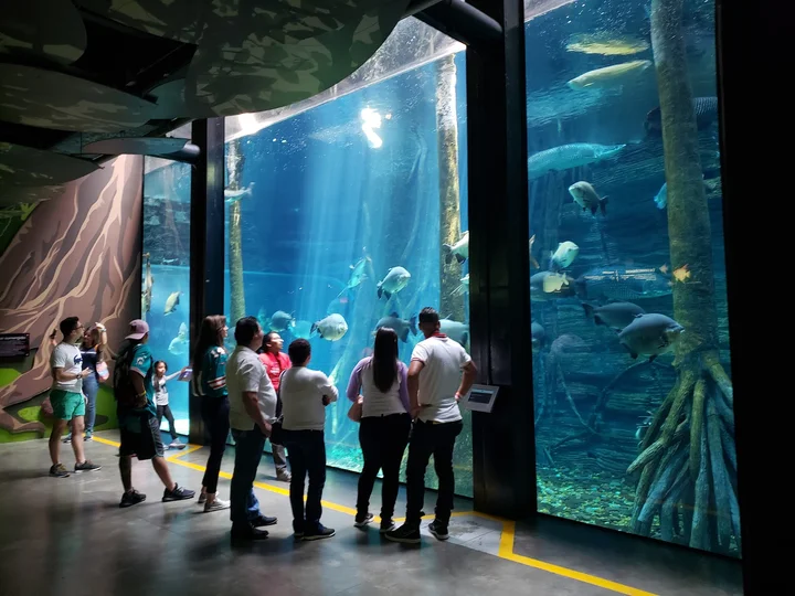 Parque Explora in Medellin, Antioquia - Ask AI | mindtrip