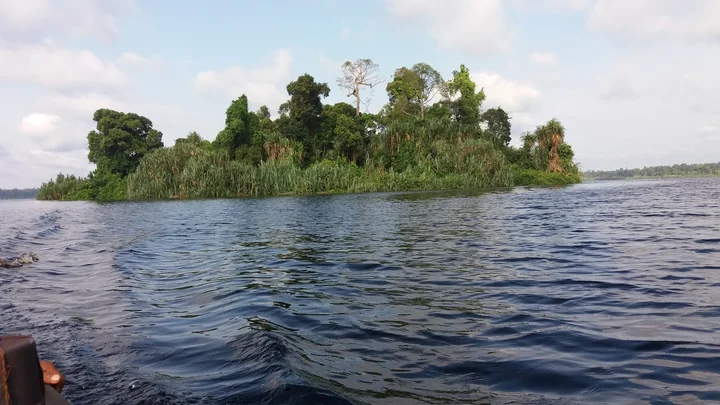 Zamrud National Park in Riau - Ask AI | mindtrip