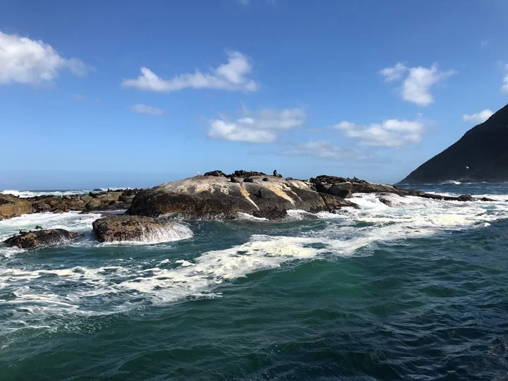 Duiker Island in Cape Town, Western Cape - Ask AI | mindtrip
