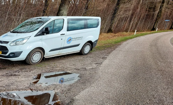 Birding Holland in Briltil | What to Know Before You Go