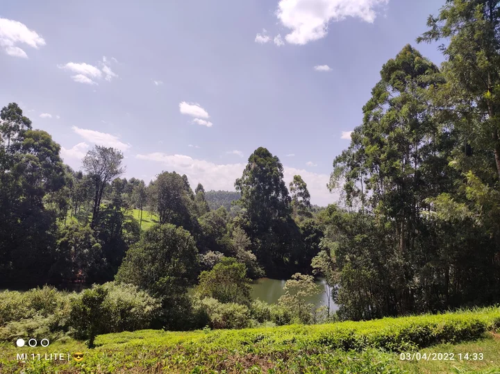 Ruiru Dam in Ruiru, Kiambu County - Ask AI | mindtrip