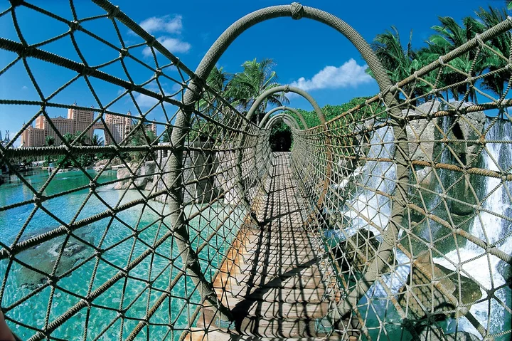 Predator Lagoon | What to Know Before You Go