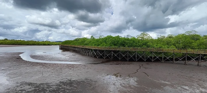 WISATA MANGROVE PERING | What to Know Before You Go