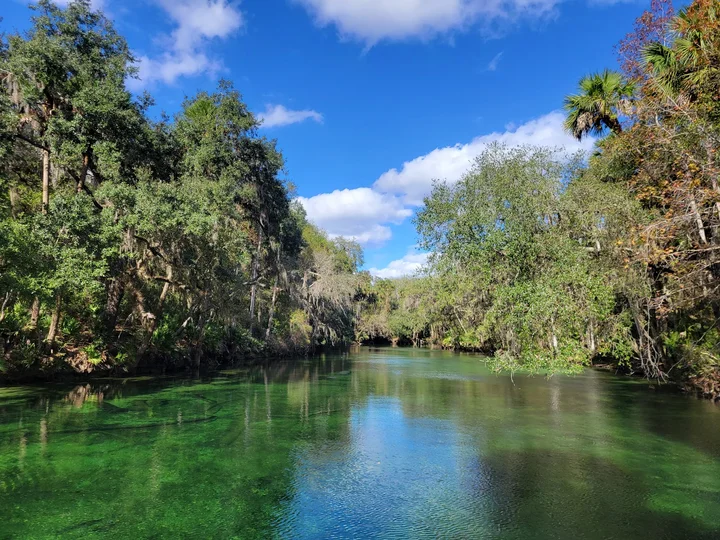Blue Spring State Park | What to Know Before You Go