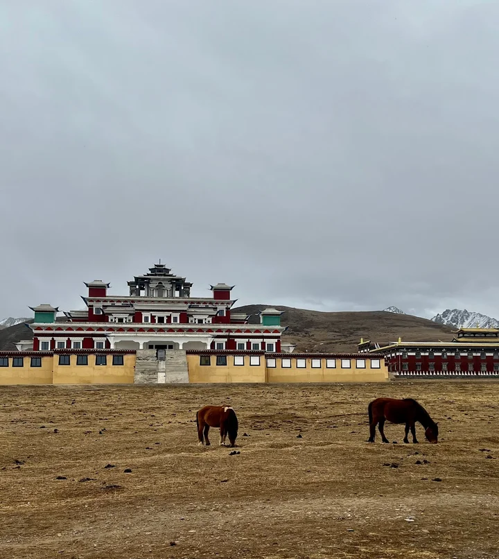 Muya Temple in Sichuan | Ask Anything