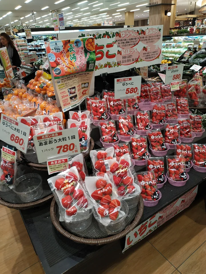 hokuty shop❤︎ページ Japan - 2025 June July Hard Off Nagatsuta Ryokuentoshi Wattman