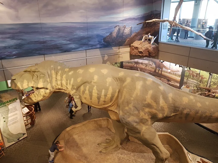 Museum of Science in Boston | What to Know Before You Go