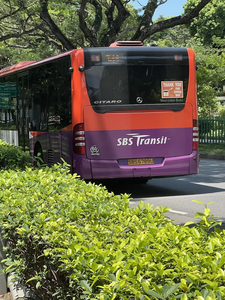 SBS Transit Ltd in Singapore | What to Know Before You Go