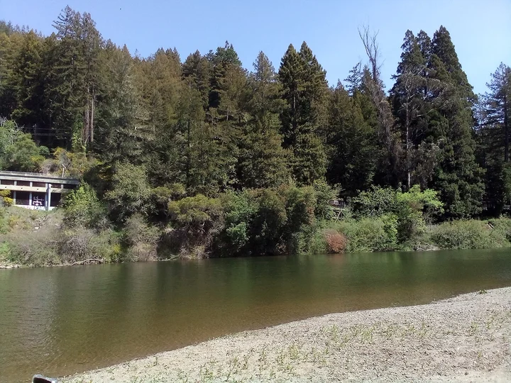 Patterson Point Preserve | What to Know Before You Go