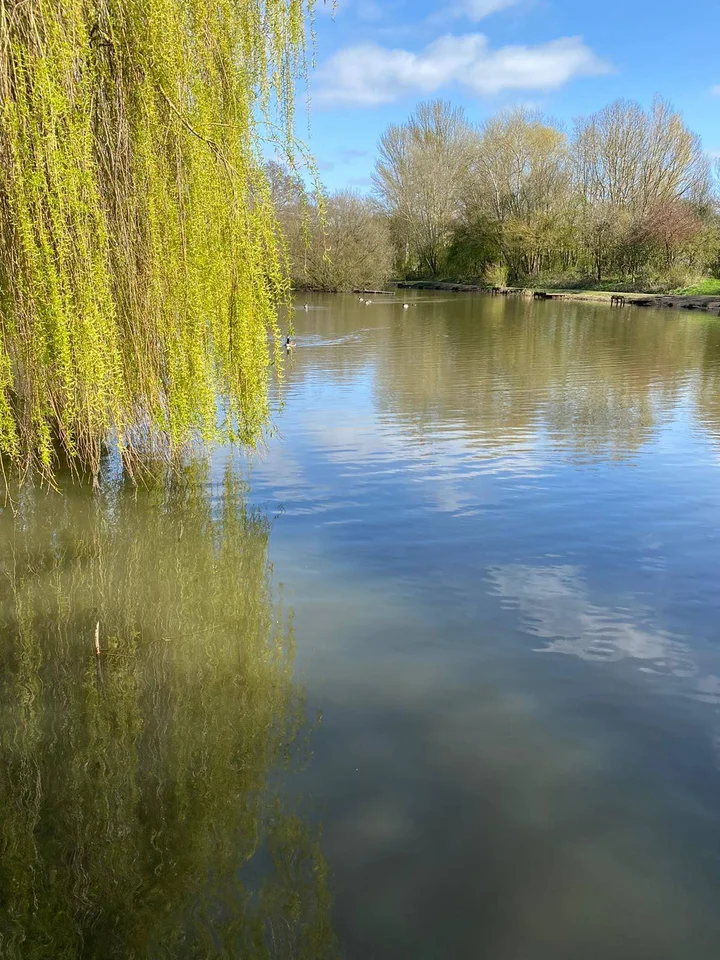 Pinxton Wharf in Pinxton | What to Know Before You Go