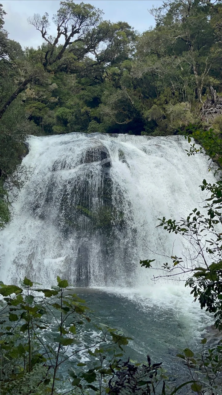 Aniwaniwa Falls in Tuai, Hawke's Bay - Ask AI | mindtrip
