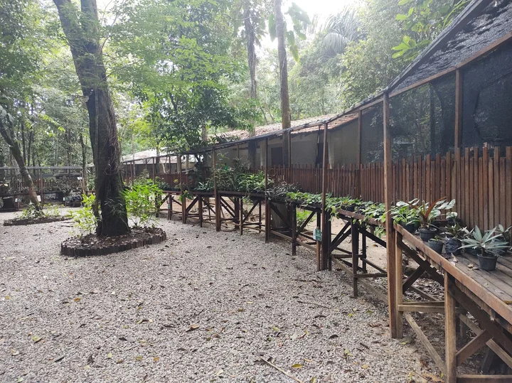Amazon Biopark in Macapa, Amapá | What to Know Before You Go