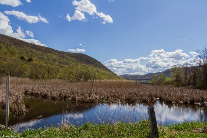 Manitou Point Preserve in Fort Montgomery | Ask Anything