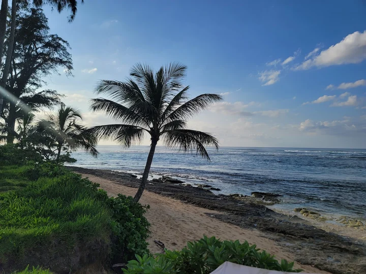 Waialee Beach in Pupukea | What to Know Before You Go