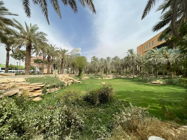 Najd Oasis Walkway in Riyadh - Ask AI | mindtrip