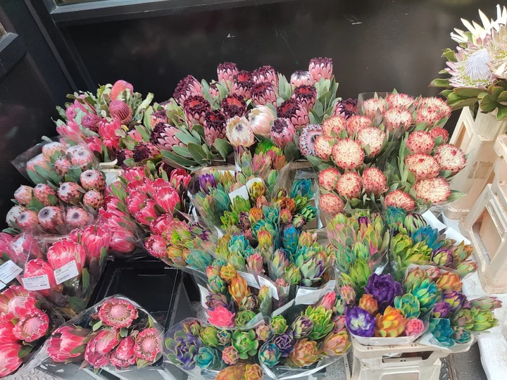 Dutch Flower Line, Inc. | What to Know Before You Go