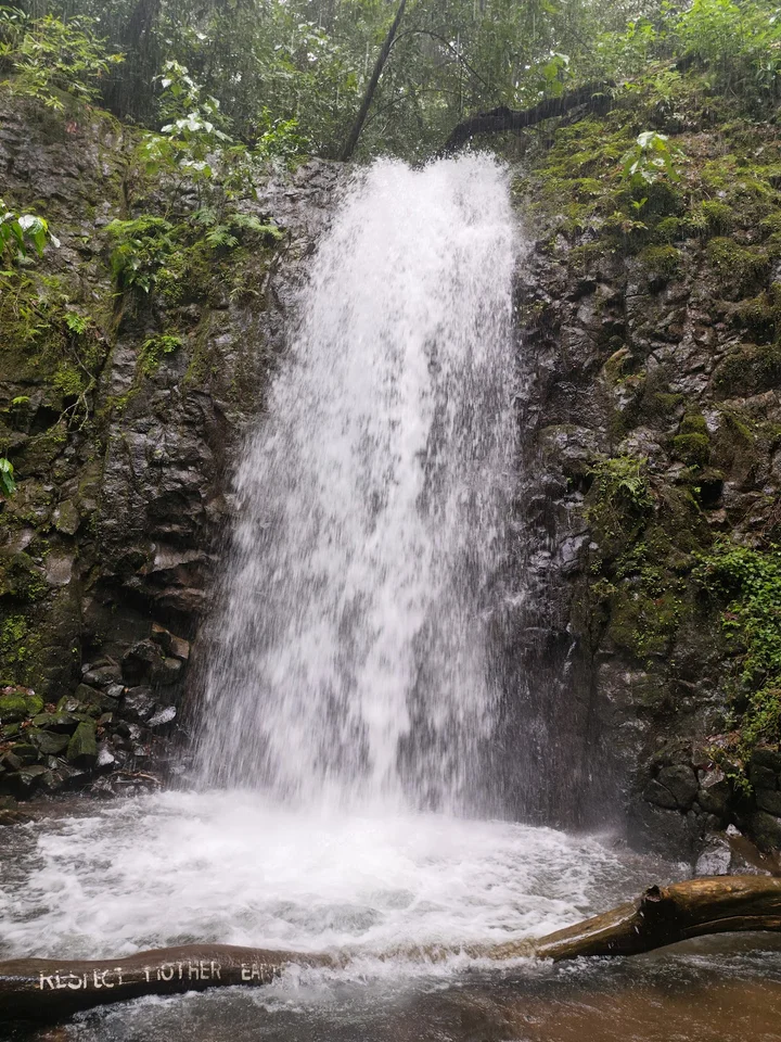 Jamboti Water falls (ಜಾಂಬೋಟಿ ಜಲಪಾತ) - Ask AI | mindtrip