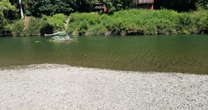 Patterson Point Preserve | What to Know Before You Go