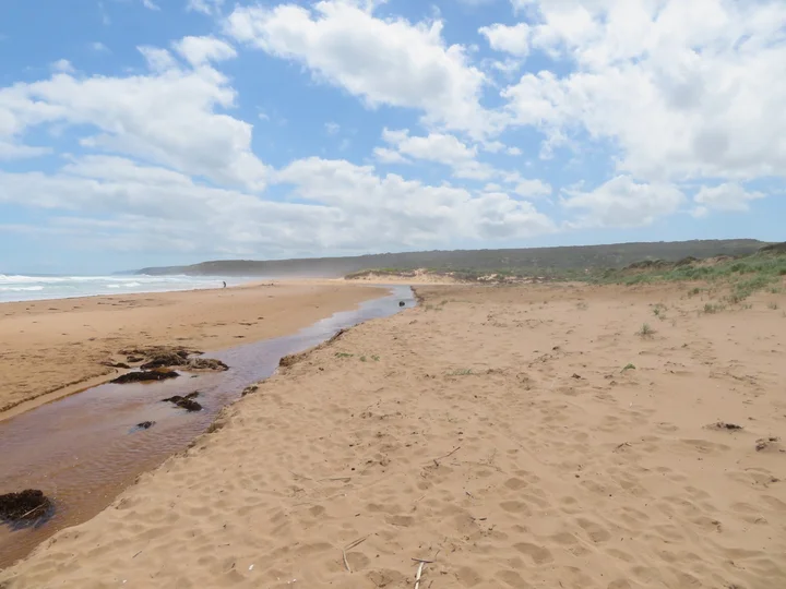 Waitpinga Beach in Waitpinga | What to Know Before You Go