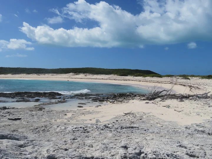 Torch Cay in William's Town, Exuma - Ask AI | mindtrip
