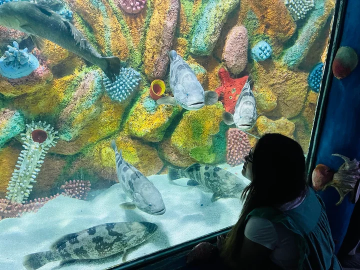 Radiant Fish World in Cox's Bazar - Ask AI | mindtrip