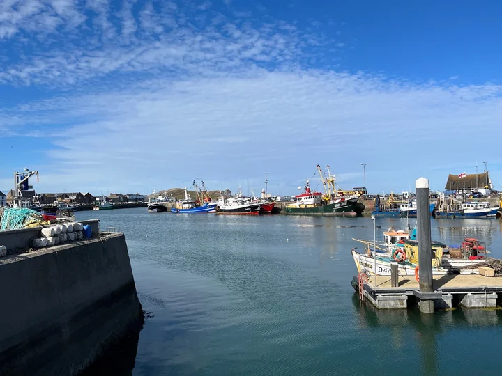 Howth Harbour in Sutton Cross - Ask AI | mindtrip