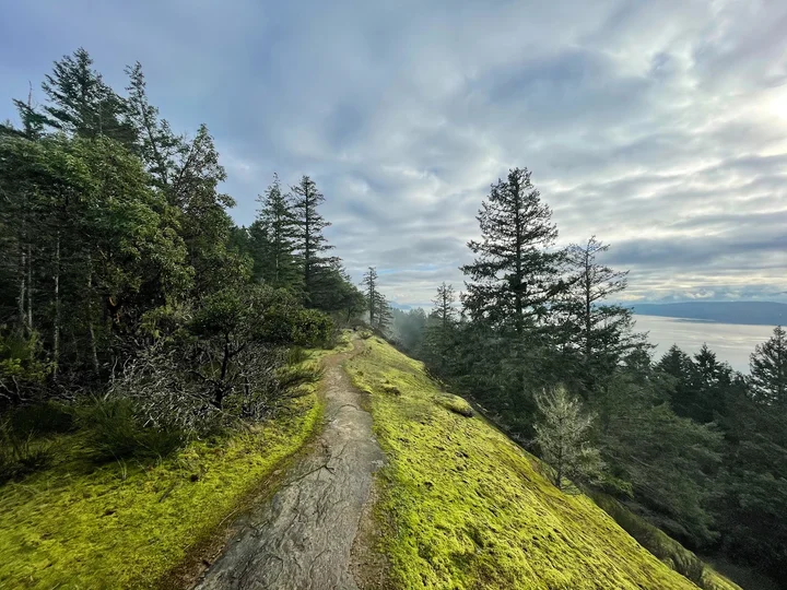 Bodega Ridge in North Galiano | What to Know Before You Go