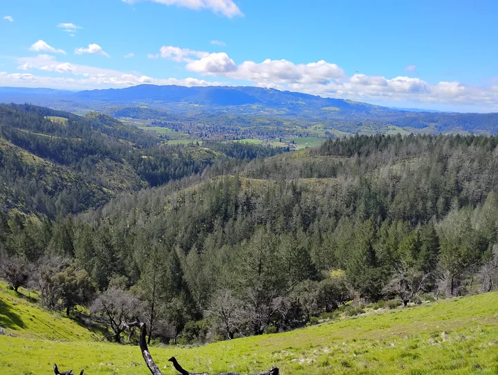 Sugarloaf Ridge State Park | What to Know Before You Go