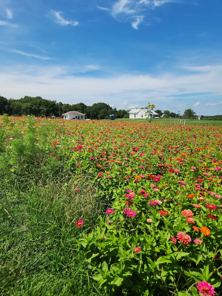 Rendleman Orchards in Alto Pass, Illinois | Ask Anything