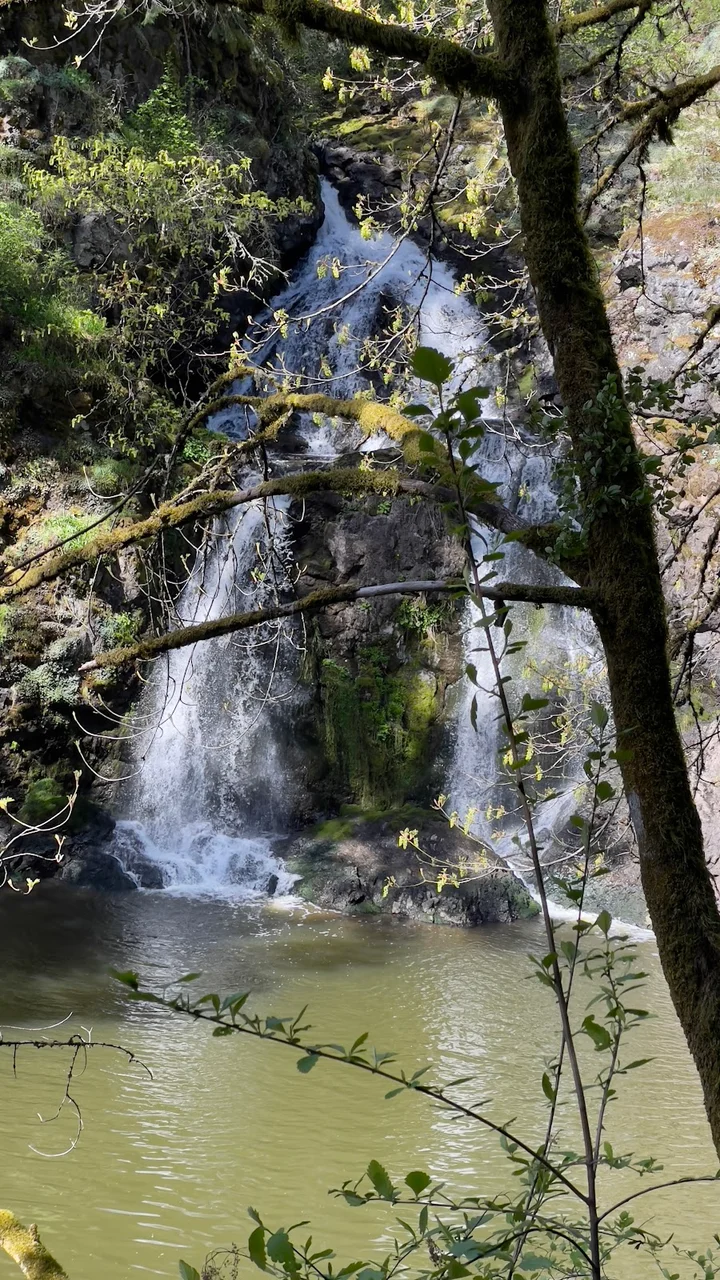 Sitting Lady Waterfall | What to Know Before You Go