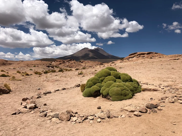 Salvador Dalí Desert | What to Know Before You Go