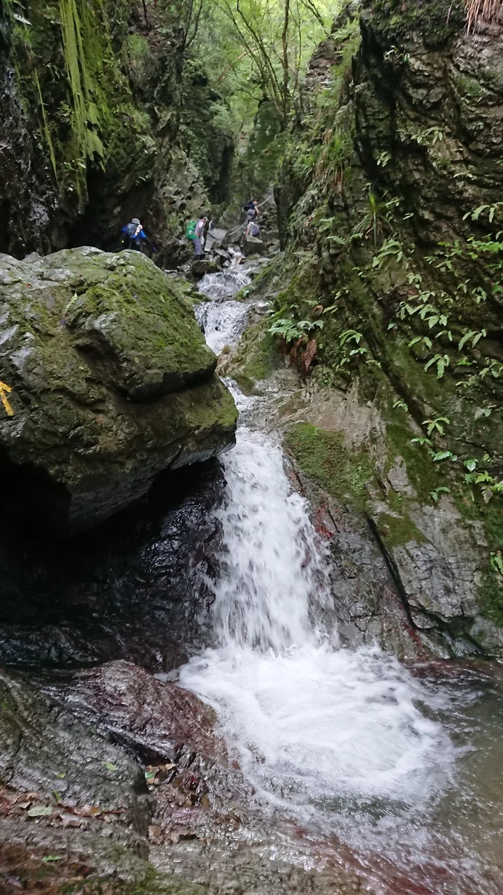 Mount Bô-no-ore in Hanno, Saitama Prefecture | Ask Anything