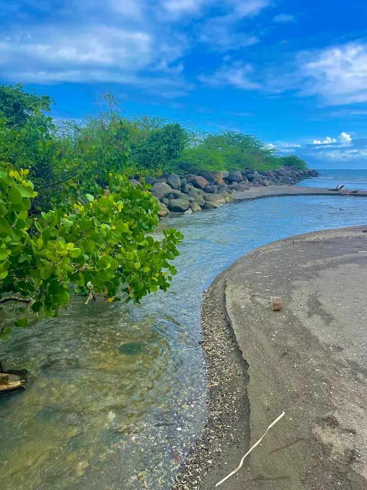 Silliman Beach | What to Know Before You Go