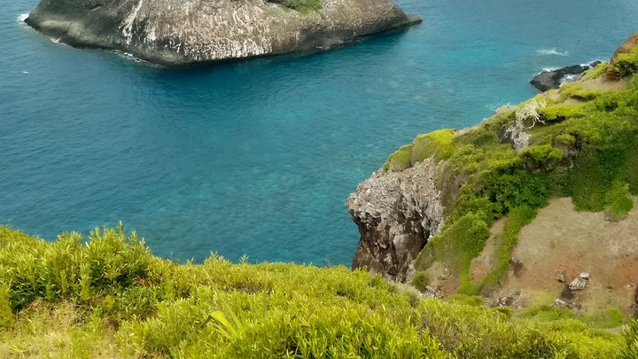 Captain Cook Lookout in Cascade | Ask Anything