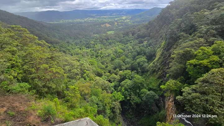 Mapleton Falls lookout in Mapleton | Ask Anything