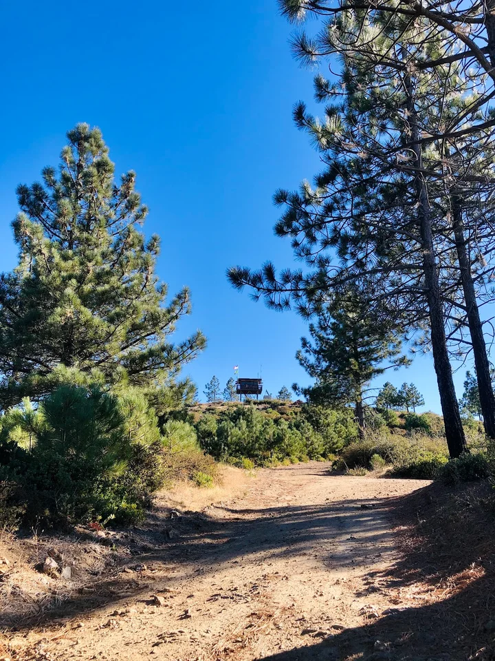 Chews Ridge Lookout in California - Ask AI | mindtrip