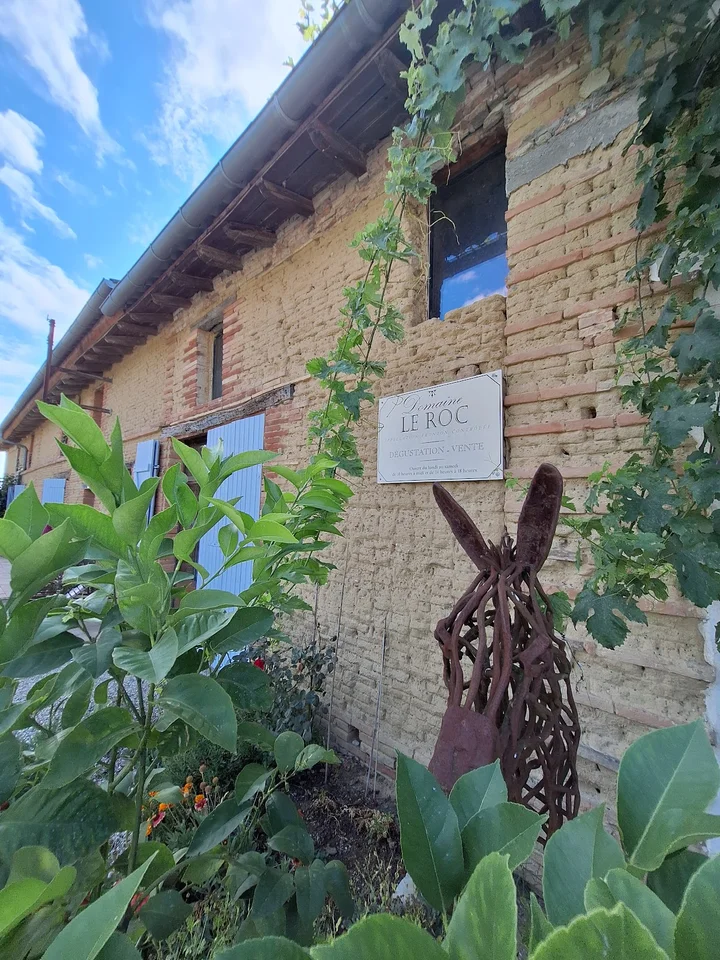 Domaine Le Roc in Fronton | What to Know Before You Go