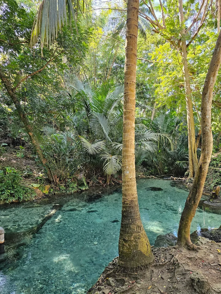 Bolo Bolo's Cold Spring in Lazi | Ask Anything
