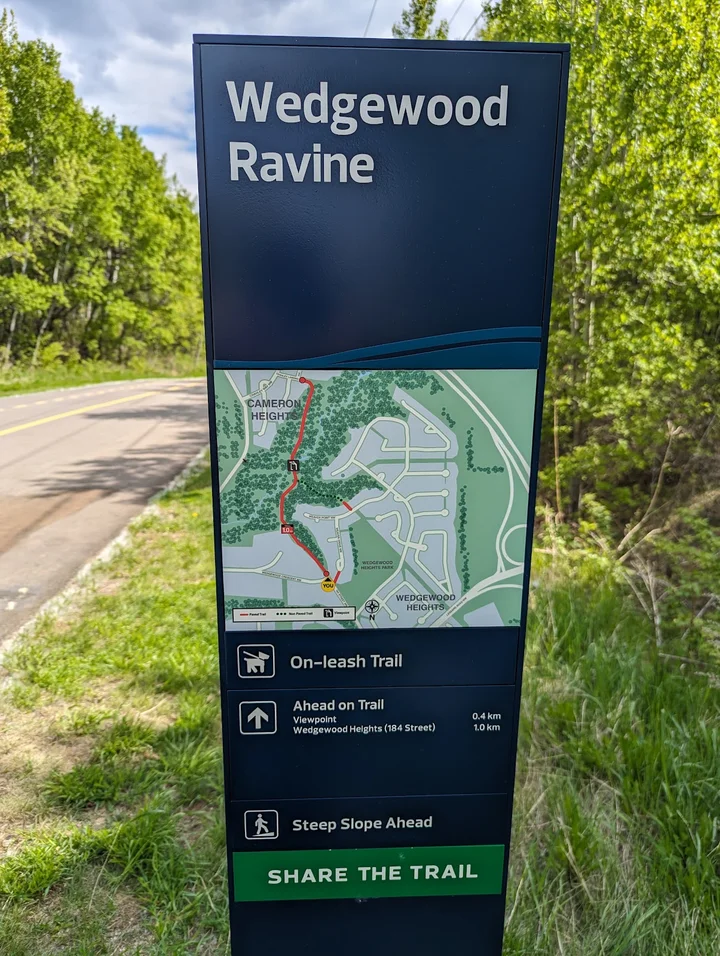 Wedgewood Ravine in Edmonton | What to Know Before You Go