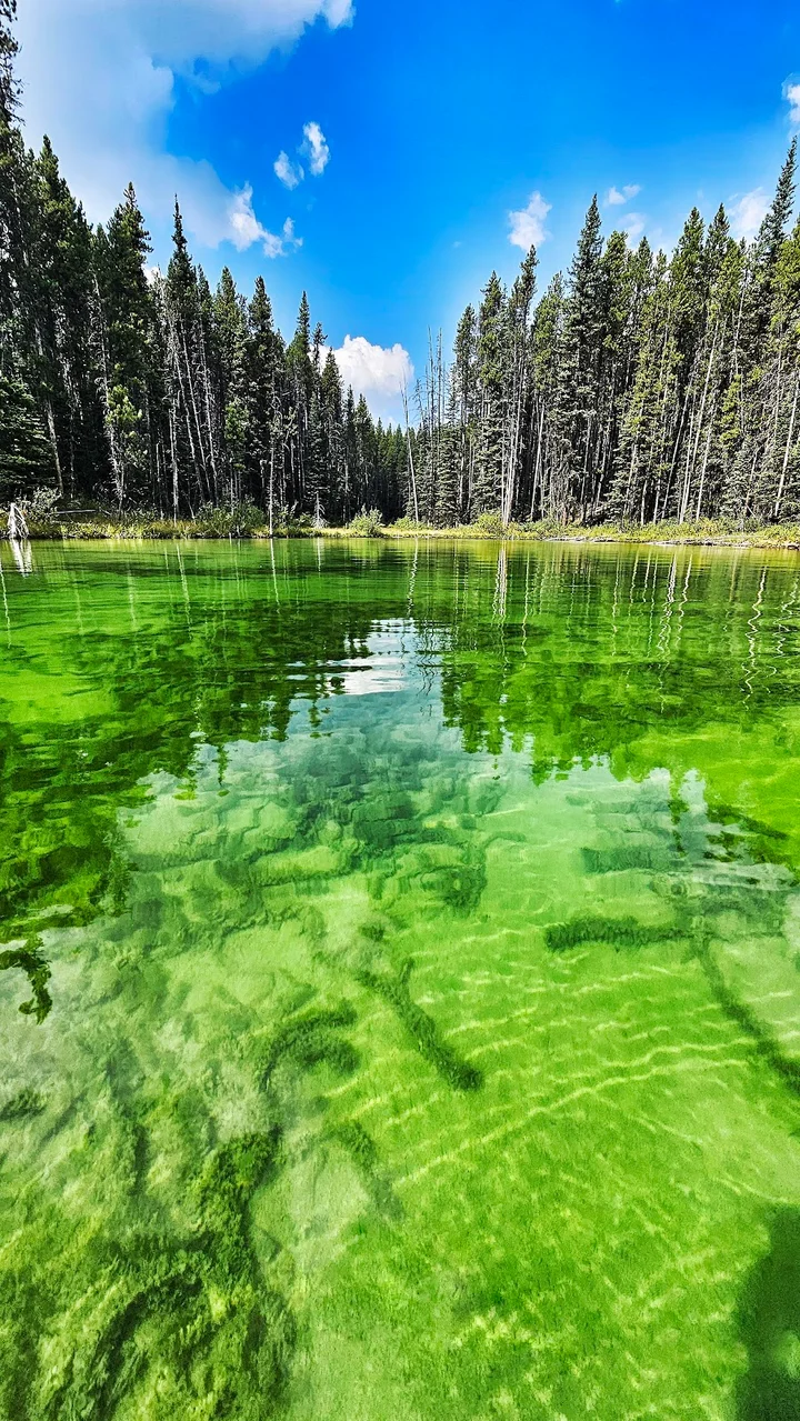Herbert Lake in Lake Louise | What to Know Before You Go