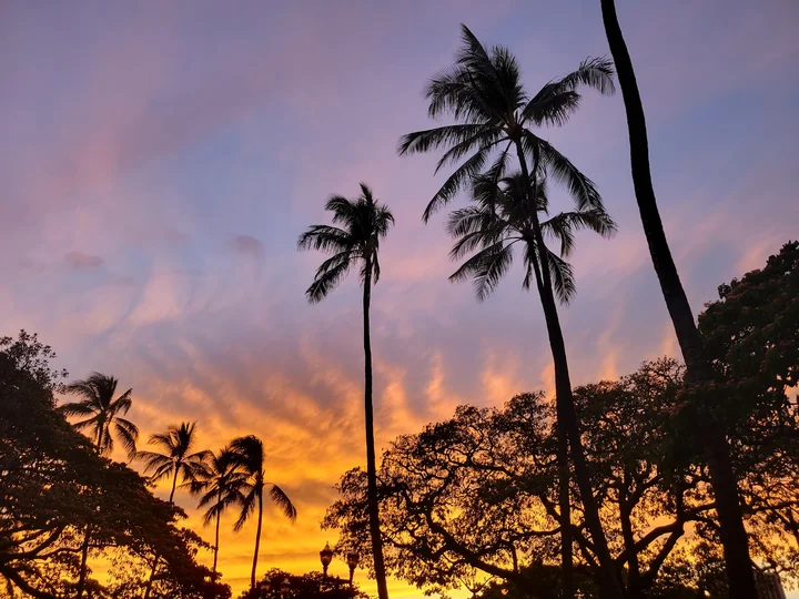 Tom Moffatt Waikiki Shell in Honolulu, Hawaii | Ask Anything