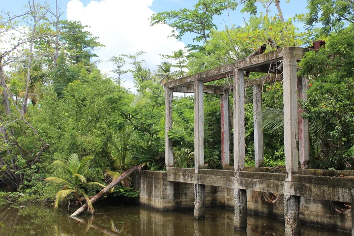 Humacao Nature Preserve - Ask AI | mindtrip