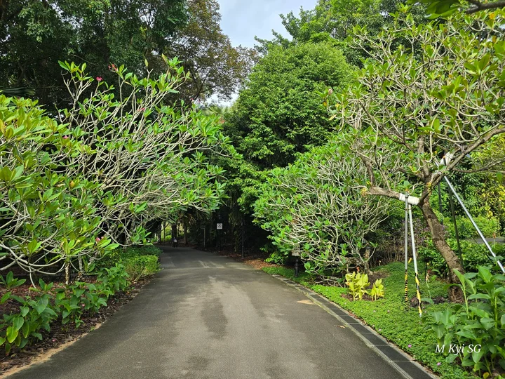 Botanical Gardens Tanglin Gate Visitor Centre