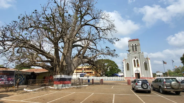Temple of Pythons in Ouidah - Ask AI | mindtrip