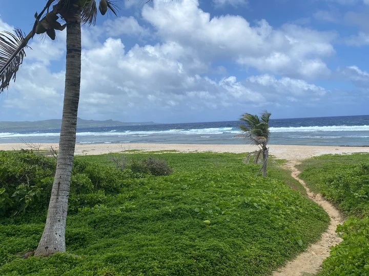 Tank Beach in Kagman, Saipan - Ask AI | mindtrip
