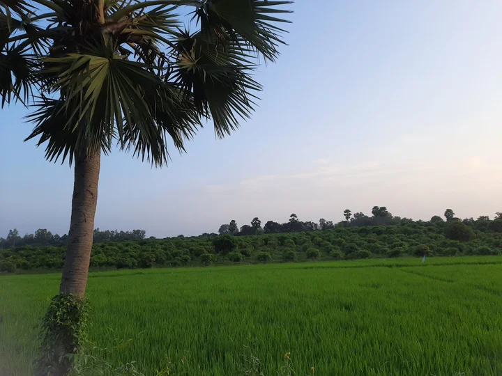 Dibor Dighi in রাজশাহী বিভাগ - Ask AI | mindtrip