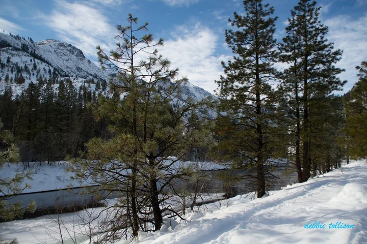 Icicle River Trails in Leavenworth - Ask AI | mindtrip